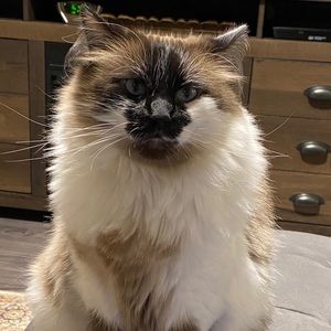 Meet your Posher, Christeen